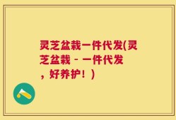 灵芝盆栽一件代发(灵芝盆栽 - 一件代发，好养护！)