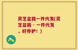 灵芝盆栽一件代发(灵芝盆栽 - 一件代发，好养护！)