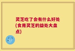灵芝吃了会有什么好处(食用灵芝的益处大盘点)