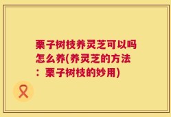 栗子树枝养灵芝可以吗怎么养(养灵芝的方法：栗子树枝的妙用)