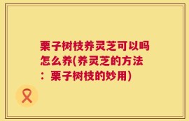 栗子树枝养灵芝可以吗怎么养(养灵芝的方法：栗子树枝的妙用)