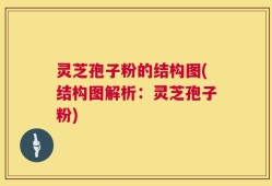 灵芝孢子粉的结构图(结构图解析：灵芝孢子粉)
