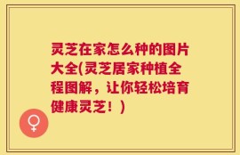 灵芝在家怎么种的图片大全(灵芝居家种植全程图解，让你轻松培育健康灵芝！)