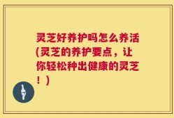 灵芝好养护吗怎么养活(灵芝的养护要点，让你轻松种出健康的灵芝！)