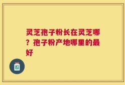灵芝孢子粉长在灵芝哪？孢子粉产地哪里的最好