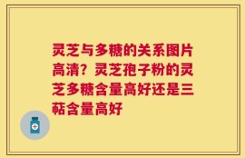 灵芝与多糖的关系图片高清？灵芝孢子粉的灵芝多糖含量高好还是三萜含量高好