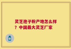 灵芝孢子粉产地怎么样？中国最大灵芝厂家