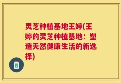 灵芝种植基地王婷(王婷的灵芝种植基地：塑造天然健康生活的新选择)