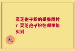 灵芝孢子粉的采集图片？灵芝孢子粉在哪里能买到