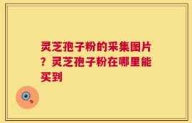 灵芝孢子粉的采集图片？灵芝孢子粉在哪里能买到