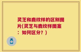 灵芝和鹿纹样的区别图片(灵芝与鹿纹样图案：如何区分？)