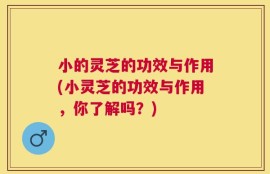 小的灵芝的功效与作用(小灵芝的功效与作用，你了解吗？)
