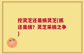 挖灵芝还是摘灵芝(抓还是拔？灵芝采摘之争)