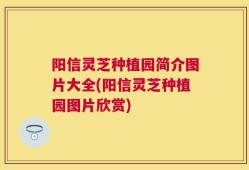 阳信灵芝种植园简介图片大全(阳信灵芝种植园图片欣赏)