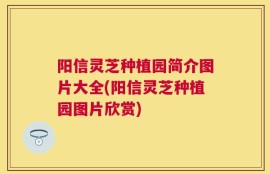 阳信灵芝种植园简介图片大全(阳信灵芝种植园图片欣赏)