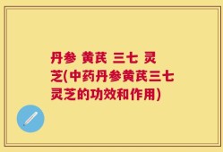 丹参 黄芪 三七 灵芝(中药丹参黄芪三七灵芝的功效和作用)