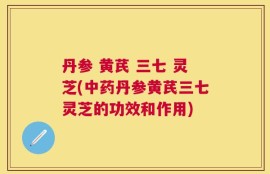 丹参 黄芪 三七 灵芝(中药丹参黄芪三七灵芝的功效和作用)