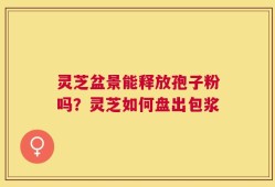 灵芝盆景能释放孢子粉吗？灵芝如何盘出包浆