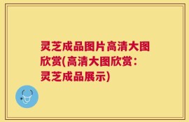灵芝成品图片高清大图欣赏(高清大图欣赏：灵芝成品展示)