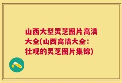 山西大型灵芝图片高清大全(山西高清大全：壮观的灵芝图片集锦)