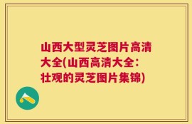 山西大型灵芝图片高清大全(山西高清大全：壮观的灵芝图片集锦)