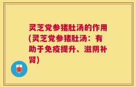 灵芝党参猪肚汤的作用(灵芝党参猪肚汤：有助于免疫提升、滋阴补肾)
