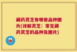藏药灵芝有哪些品种图片(详解灵芝：常见藏药灵芝的品种及图片)