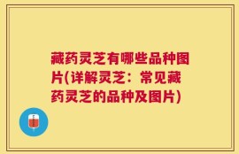 藏药灵芝有哪些品种图片(详解灵芝：常见藏药灵芝的品种及图片)