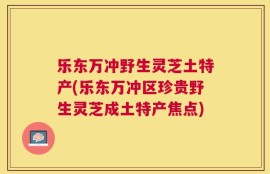 乐东万冲野生灵芝土特产(乐东万冲区珍贵野生灵芝成土特产焦点)