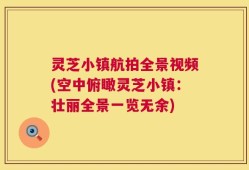 灵芝小镇航拍全景视频(空中俯瞰灵芝小镇：壮丽全景一览无余)