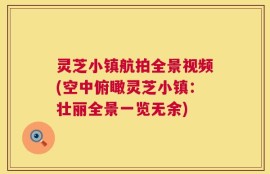 灵芝小镇航拍全景视频(空中俯瞰灵芝小镇：壮丽全景一览无余)