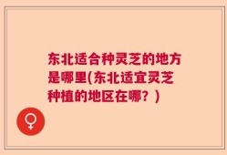 东北适合种灵芝的地方是哪里(东北适宜灵芝种植的地区在哪？)