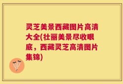灵芝美景西藏图片高清大全(壮丽美景尽收眼底，西藏灵芝高清图片集锦)