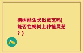 杨树能生长出灵芝吗(能否在杨树上种植灵芝？)