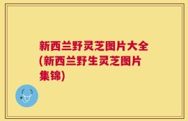 新西兰野灵芝图片大全(新西兰野生灵芝图片集锦)