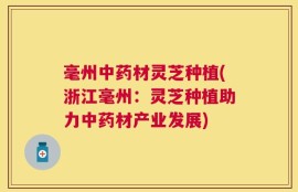 毫州中药材灵芝种植(浙江毫州：灵芝种植助力中药材产业发展)