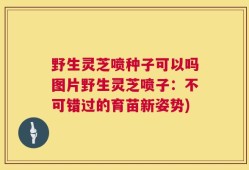 野生灵芝喷种子可以吗图片野生灵芝喷子：不可错过的育苗新姿势)