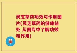 灵芝草药功效与作用图片(灵芝草药的健康益处 从图片中了解功效和作用)