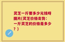 灵芝一斤要多少元钱呀图片(灵芝价格走势：一斤灵芝的价格是多少？)
