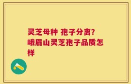 灵芝母种 孢子分离？峨眉山灵芝孢子品质怎样