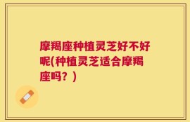 摩羯座种植灵芝好不好呢(种植灵芝适合摩羯座吗？)
