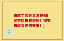 猫吃了灵芝会怎样呢(灵芝对猫有益吗？探究猫吃灵芝的效果！)