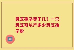 灵芝孢子等于几？一只灵芝可以产多少灵芝孢子粉