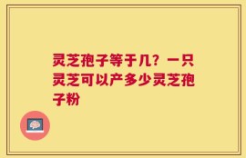 灵芝孢子等于几？一只灵芝可以产多少灵芝孢子粉