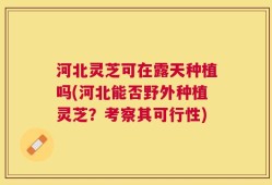 河北灵芝可在露天种植吗(河北能否野外种植灵芝？考察其可行性)