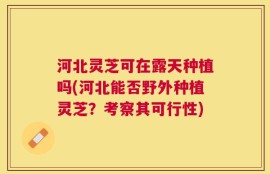 河北灵芝可在露天种植吗(河北能否野外种植灵芝？考察其可行性)