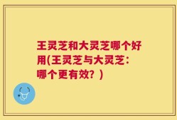 王灵芝和大灵芝哪个好用(王灵芝与大灵芝：哪个更有效？)