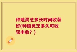种殖灵芝多长时间收获好(种植灵芝多久可收获丰收？)