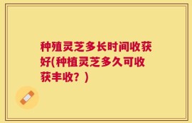种殖灵芝多长时间收获好(种植灵芝多久可收获丰收？)