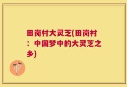 田岗村大灵芝(田岗村：中国梦中的大灵芝之乡)